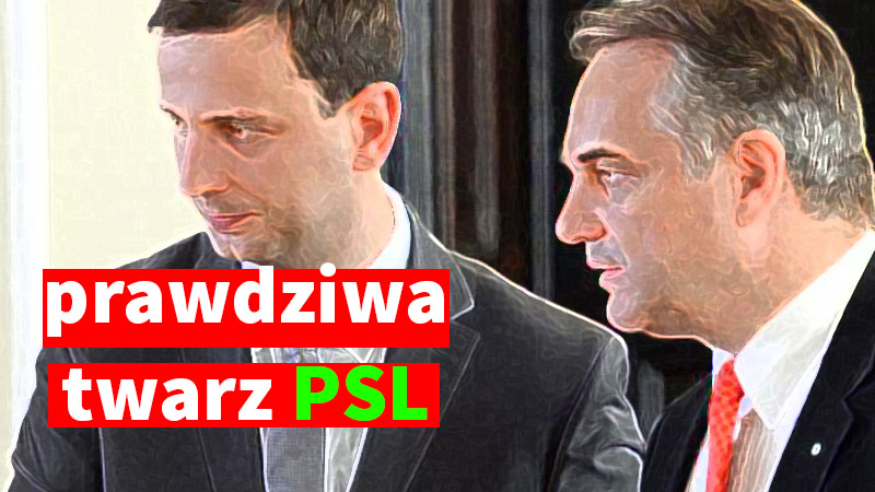 Na nieudolności PO w czasie kryzysu zyskuje PSL. Przypominam czym jest ta partia. Ku przestrodze!