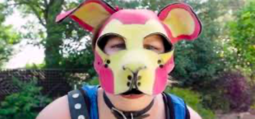 Lewactwo przechodzi samo siebie. Totalne zezwierzęcenie. [WIDEO]