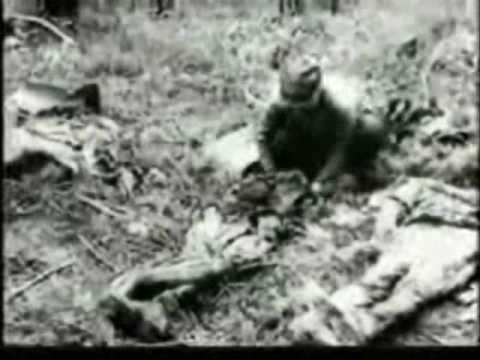 Ballada Katyńska – Jacek Kaczmarski