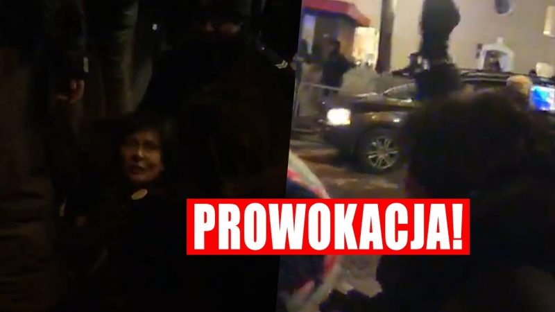 PROWOKATORKA Z OBYWATELI RP udaje pobitą przez Policję!