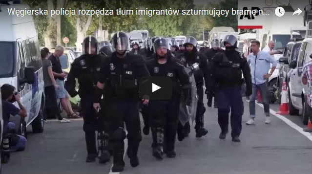 WOW! Węgierska policja rozpędza tłum imigrantów szturmujący bramę na granicy z Serbią!